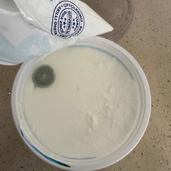 Torku Marka Yoğurt İki Kez Küflü Çıktı
