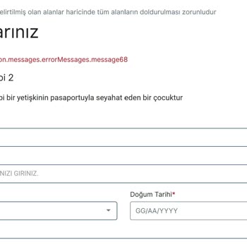VFS Global Vize Randevu Formunda Sürekli Hata Mesajı Alıyorum!