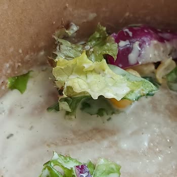 Hyar Salad Bar - Yemeğimden Örümcek Çıktı!