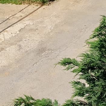 Sultanbeyli Belediyesi Asfalt Sorunu Düzelmeyecek Hep Yama Olacak