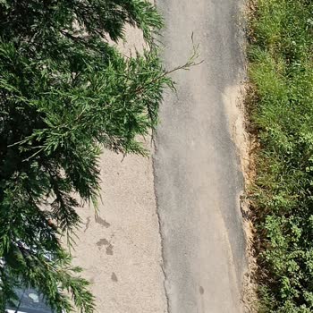 Sultanbeyli Belediyesi Asfalt Sorunu Düzelmeyecek Hep Yama Olacak