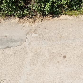 Sultanbeyli Belediyesi Asfalt Sorunu Düzelmeyecek Hep Yama Olacak