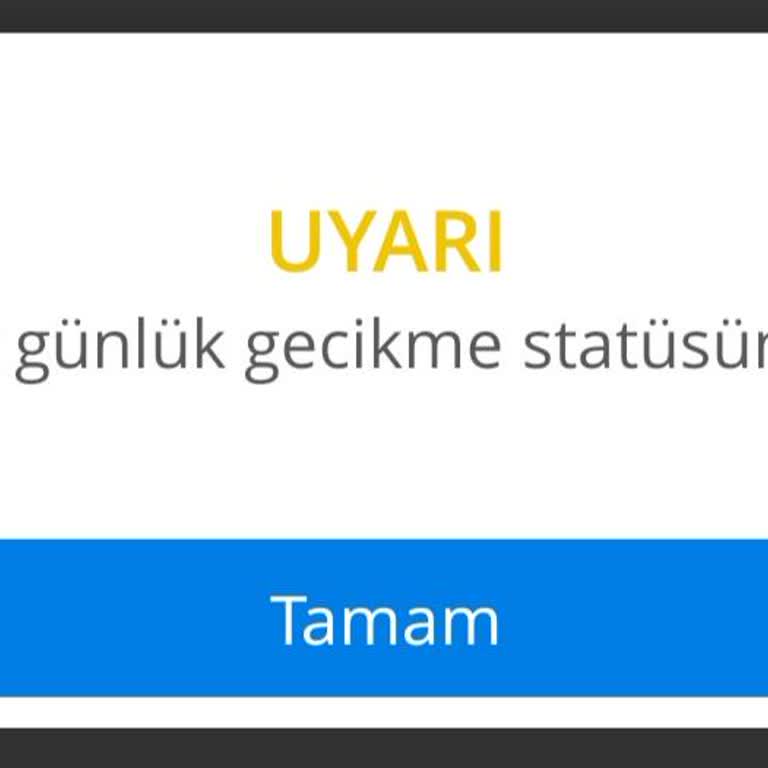 Denizbank, Kart Günlük Gecikme Statüsünde