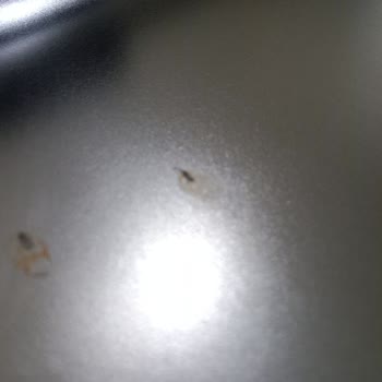 LG Bulaşık Makinesi Paslanma Sorunu