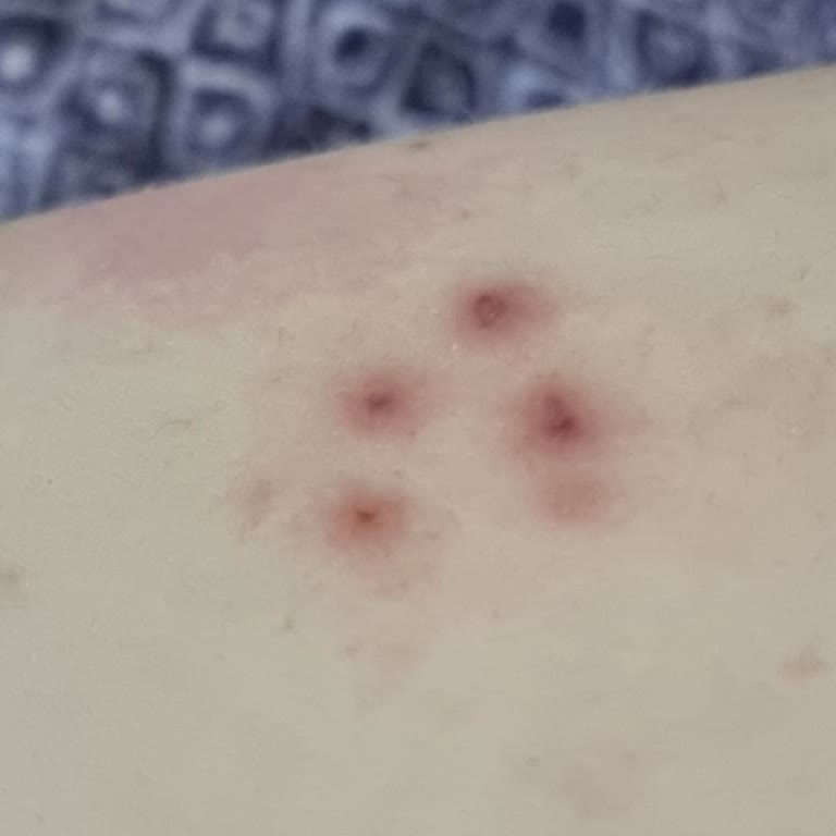 Penti Lotus Sütyen Modeli