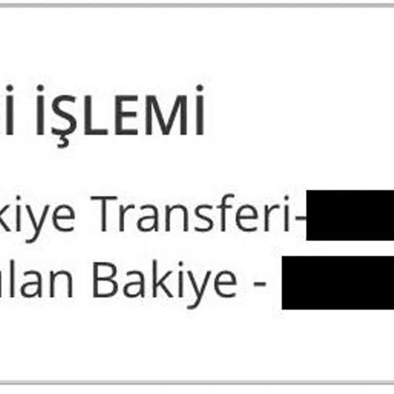 Denizbank Yatırım Hesabı Diğer Bakiye Transferi İle Bilgi Dışı İşlem