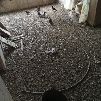 Osmangazi Belediyesi Büyükşehir Zabıta Amirliğine