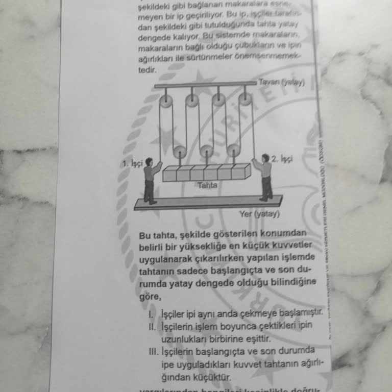 Milli Eğitim Bakanlığı (MEB) LGS Fen Bilimleri 13. Soru