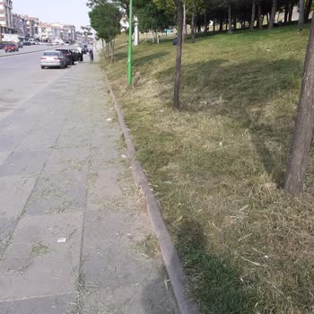 Mamak Belediyesi Parkın Etrafı Pis