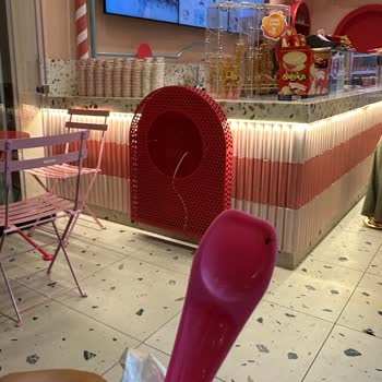 Dondurma Dükkanı Dondurma Da Sinek