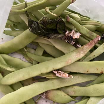 Mopaş Kurtköy Online Çöpe Atılacak Ürünler Yolluyor