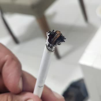 JTI Sigaranın İçin De Odun