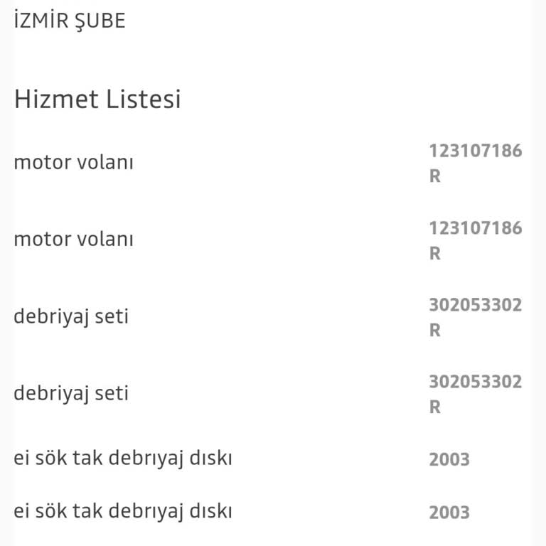 Dacia Sandero Stepway Kronik Titreme Sorunu