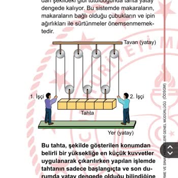 Milli Eğitim Bakanlığı (MEB) LGS 2024 Fen Makara Sorusu