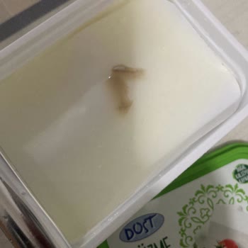 BİM Peynirin İçinden Kurda Benzeyen Bir Şey Çıktı