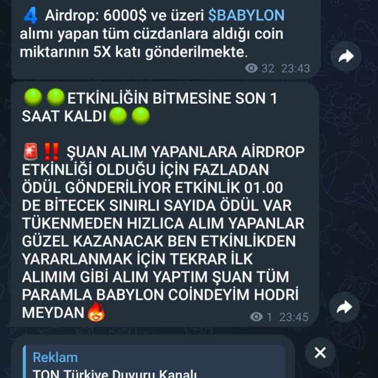 Halka Arz Bilgi Grubunda Sahte Coin Mağduriyeti