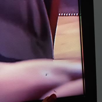 Sunny TV İçine Sinek Girdi