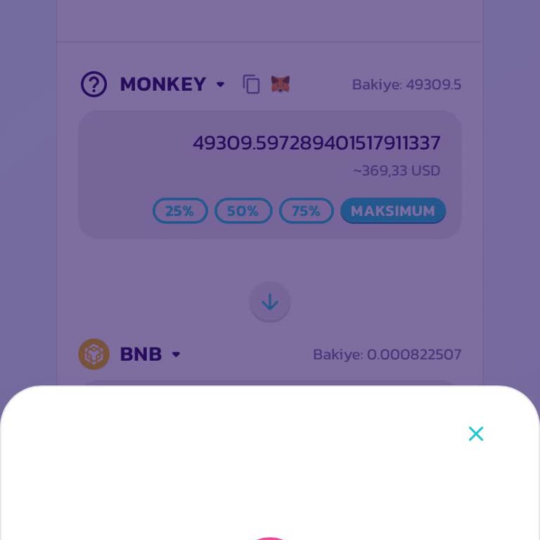 Pancakeswap Paramı Kurtaramıyorum, Sürekli Hata Alıyorum!