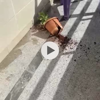 Airfel De Servisi De Pişmanlıktır