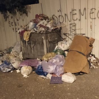 Kartal Belediyesi Çöpler Alınmıyor Sokaklar Çöp İçinde