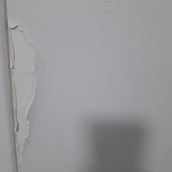 Boyacı & Badanacı Ev Boyama Hizmetinde Yaşadığımız Hayal Kırıklığı