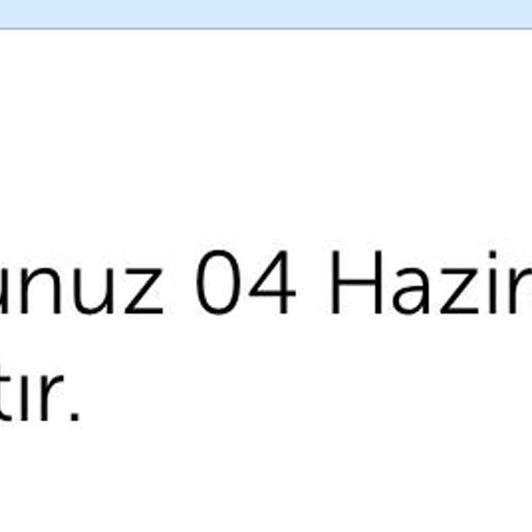 THY Yolcu Mağduriyetine Sıfır Yardım