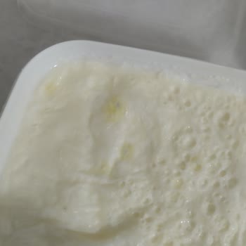 Birşah Yeni Alınan Yoğurtta Küf Çıkması