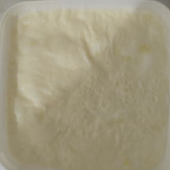 Birşah Yeni Alınan Yoğurtta Küf Çıkması