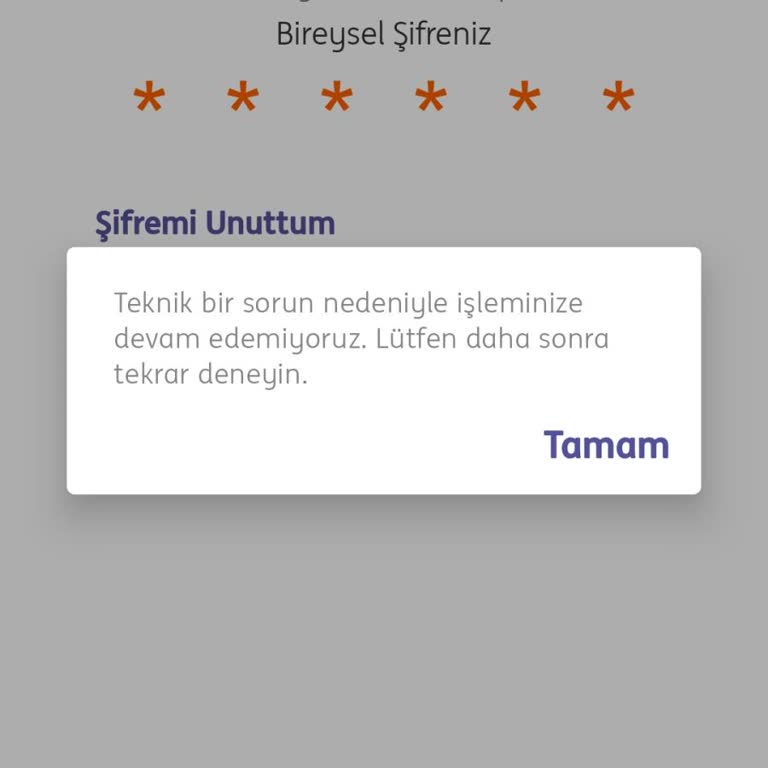 ING Mobil Uygulama Giriş Hatası