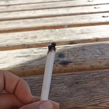 Winston Dark Blue Sigaradan Odun Parçaları Çıkıyor