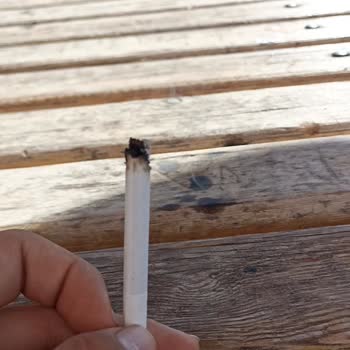 Winston Dark Blue Sigaradan Odun Parçaları Çıkıyor