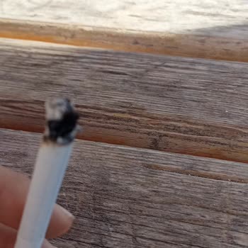 Winston Dark Blue Sigaradan Odun Parçaları Çıkıyor