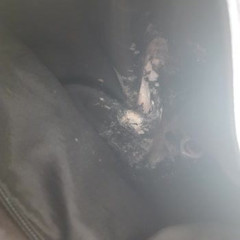 Cream Co Güneş Kremi Mağduriyeti