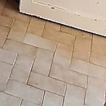 Armut. Com Müşteri Hizmetleri