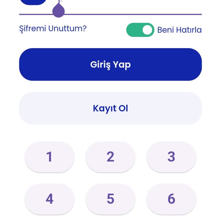 Paypay Hesabıma Giriş Yapamıyorum