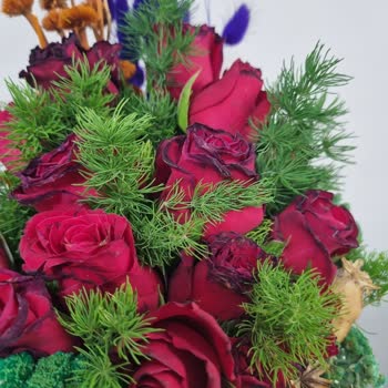 Tazecicek.com Hakkında Şikayetim Var