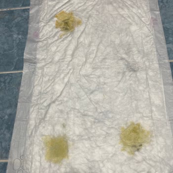 Sleepy Pet Care Sızdırma Alta Geçirme Ve İncelip Kalitesizleşen Ortu