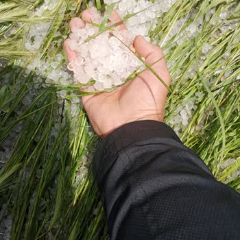 TARSİM Dolu Sebebi Olması