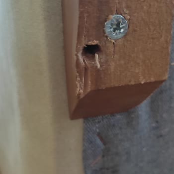 Şaşmaz Koltuk Peşin Ödeme Mağdurları