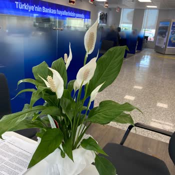 Çiçek Sepeti Farklı Ürün Ve Zamanı Dolmuş Soluk Çiçek Gönderdi