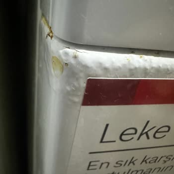 3 Yıllık Bosch Çamaşır Makinesi Paslanıyor