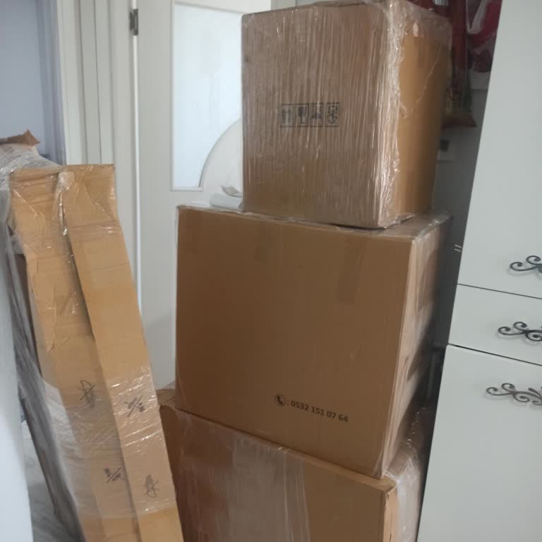 Ceva Lojistikten Dönüş Beklemekteyim