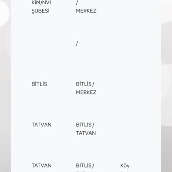 Tatvan PTT Kargo Dağıtım Sıkıntısı