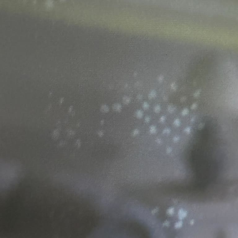 Samsung Mini LED TV Ekranında Lekeler