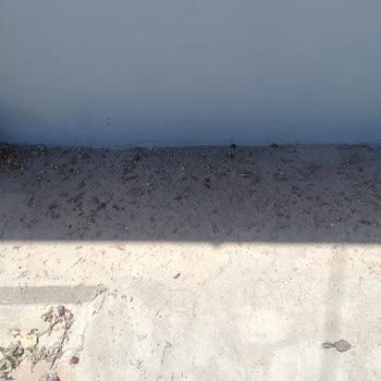 Malatya Büyükşehir Belediyesi Yol Temizliğinden Kaynaklı Evin İçine Püskürtülmesi