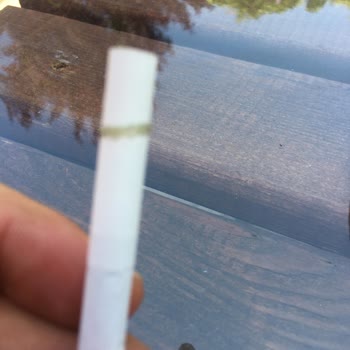 Philip Morris Sigara Filtre Bölgesinde Yapıştırıcı Çıktı