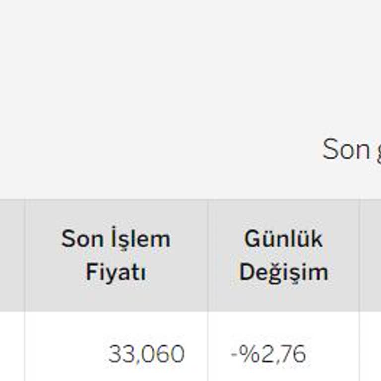 Mega Metal Sanayi Ve Ticaret A. Ş. - Megmt Hisse