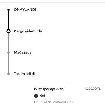 Massimo Dutti Online Mağazacılık Hakkında