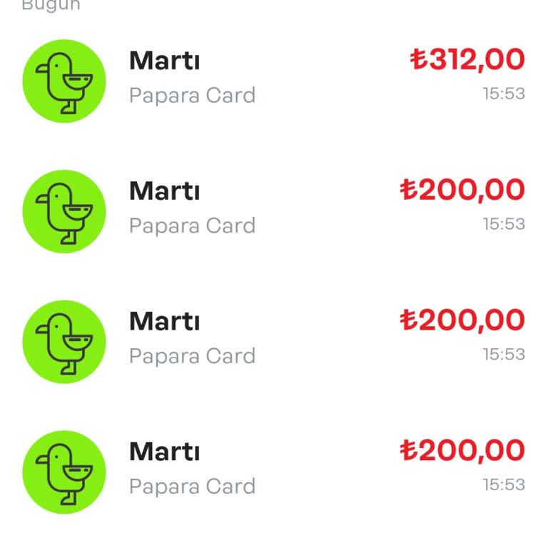 Martı İzinsiz Paramı Çekti