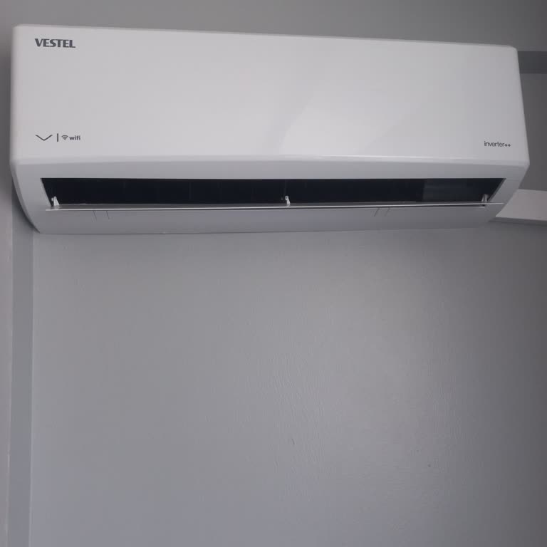 Vestel Flora Ekran Kartı Yanması